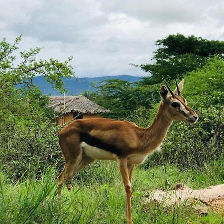 Oldonyo Orok Lodge Kajiado ภายนอก รูปภาพ