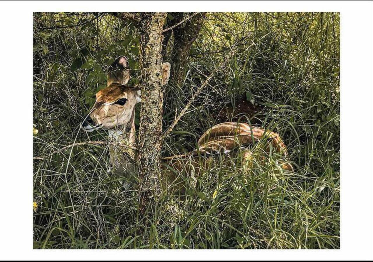 Oldonyo Orok Lodge Kajiado ภายนอก รูปภาพ