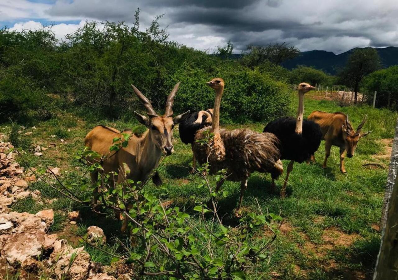 Oldonyo Orok Lodge Kajiado ภายนอก รูปภาพ