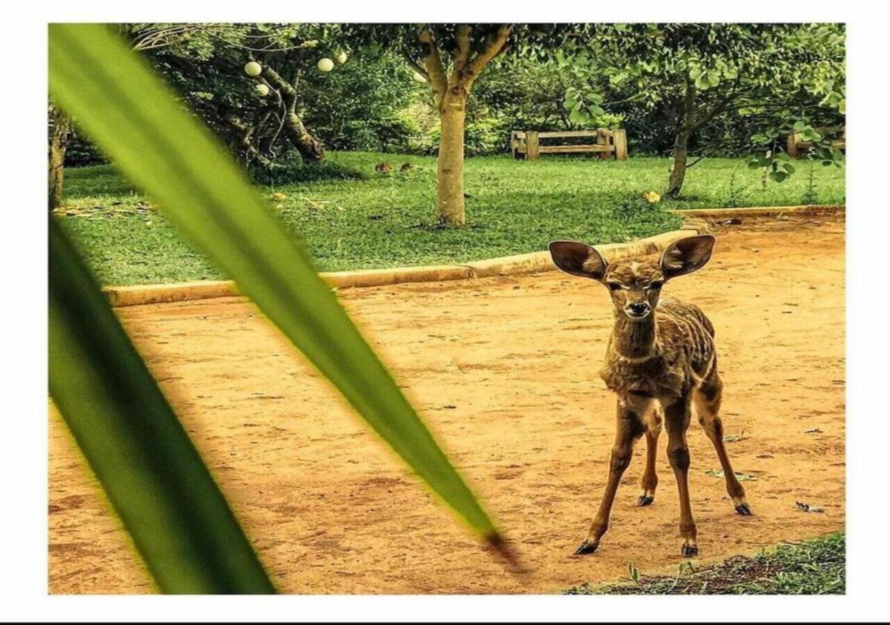 Oldonyo Orok Lodge Kajiado ภายนอก รูปภาพ