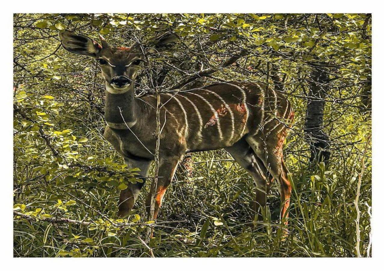Oldonyo Orok Lodge Kajiado ภายนอก รูปภาพ