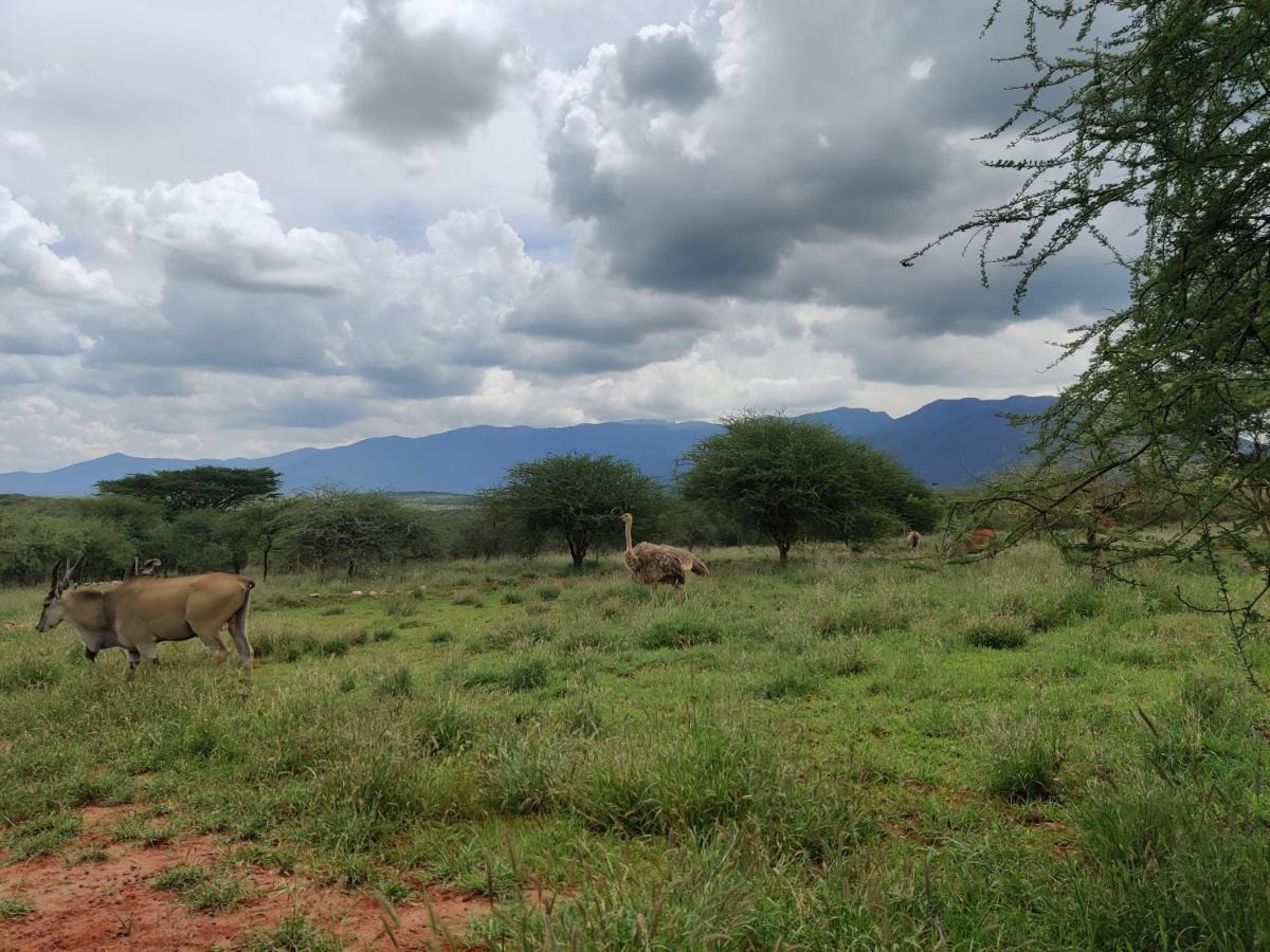 Oldonyo Orok Lodge Kajiado ภายนอก รูปภาพ