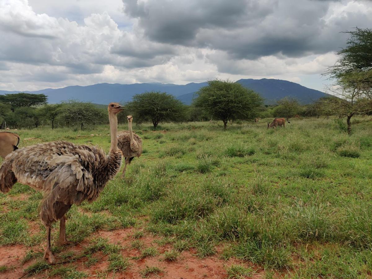 Oldonyo Orok Lodge Kajiado ภายนอก รูปภาพ